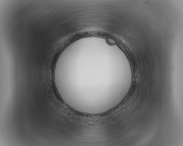 X0000112951062200908241022