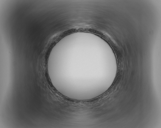 X0000112951063200908241022