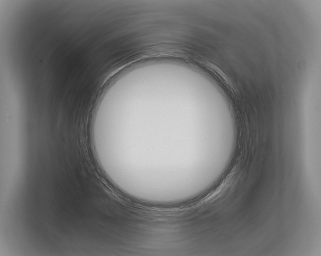 X0000112951065200908241022