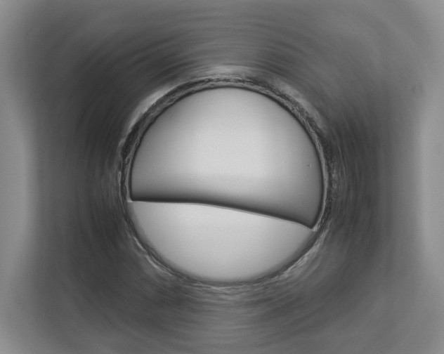 X0000112951066200908241022