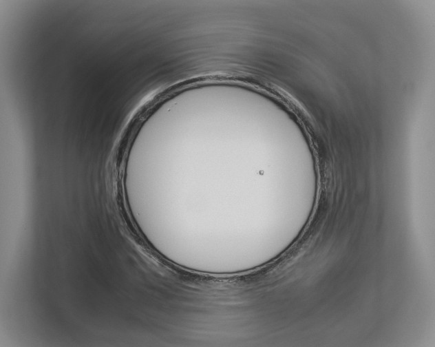 X0000112951067200908241022