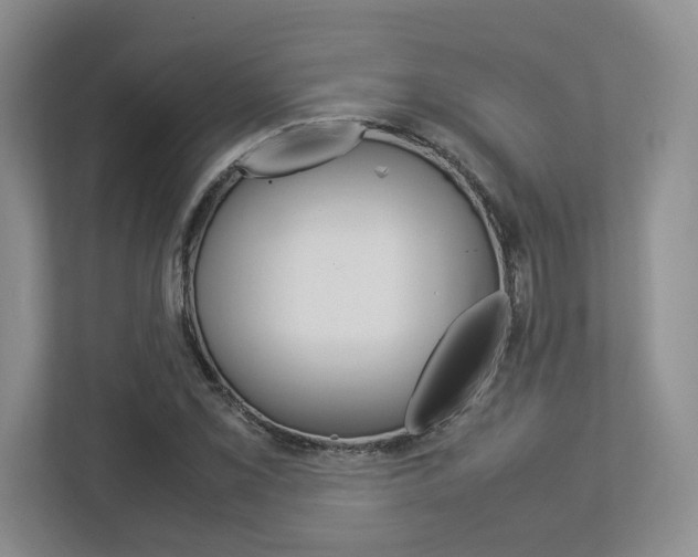 X0000112951069200908241022