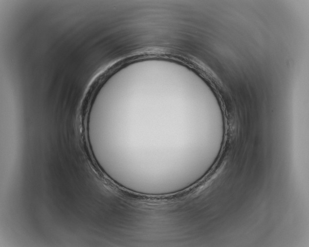 X0000112951070200908241022