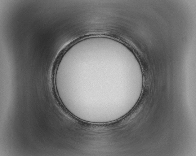 X0000112951071200908241022