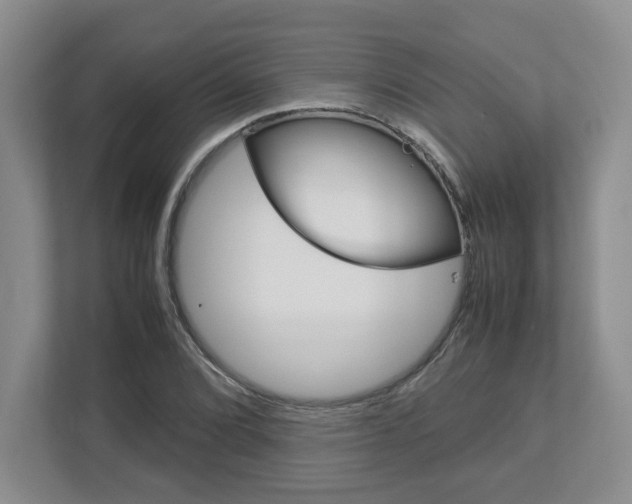 X0000112951072200908241022