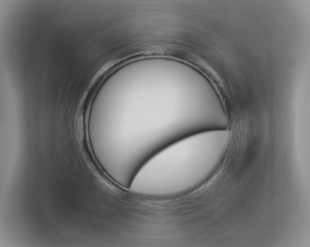 X0000112951075200908241022