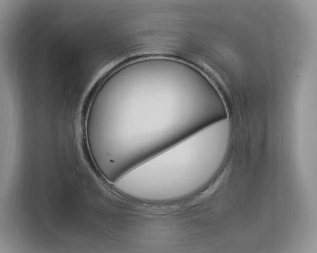 X0000112951077200908241022