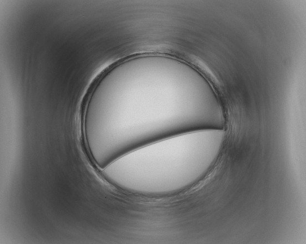 X0000112951079200908241022