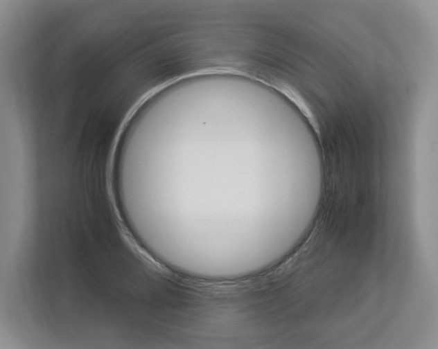 X0000112951080200908241022