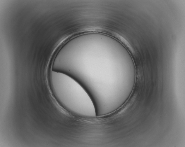 X0000112951082200908241022