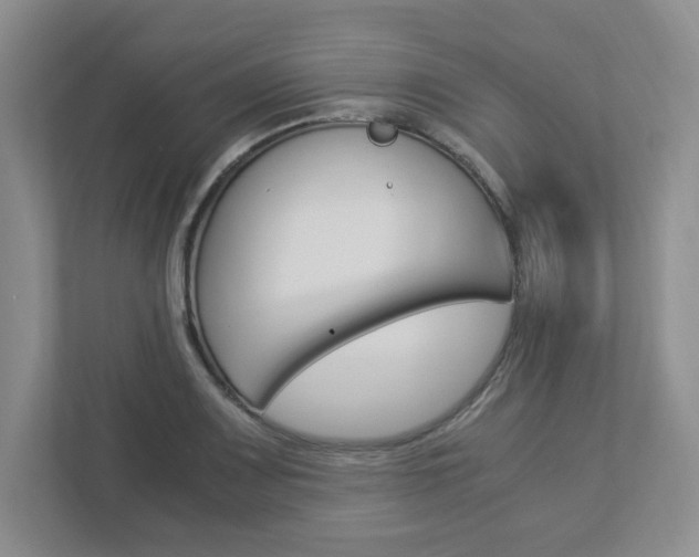 X0000112951083200908241022