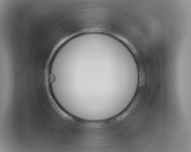 X0000112951086200908241022