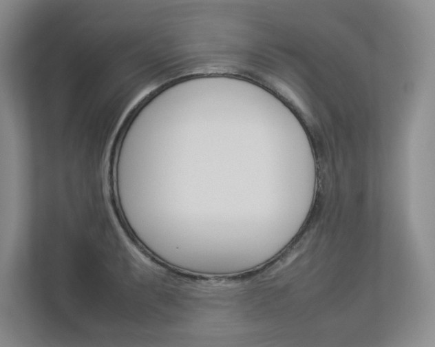 X0000112951087200908241022