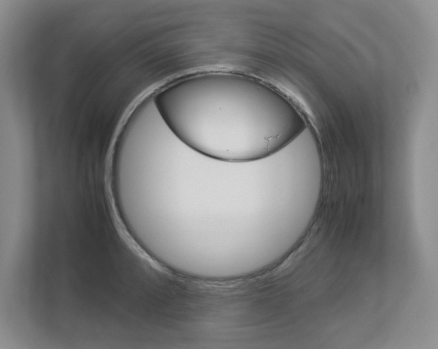X0000112951088200908241022