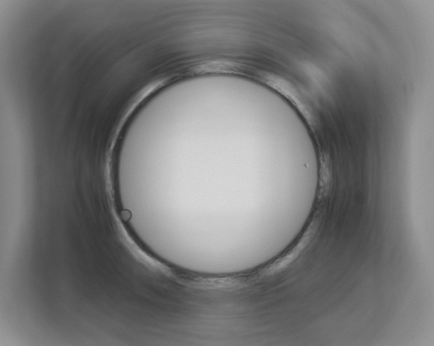 X0000112951090200908241022