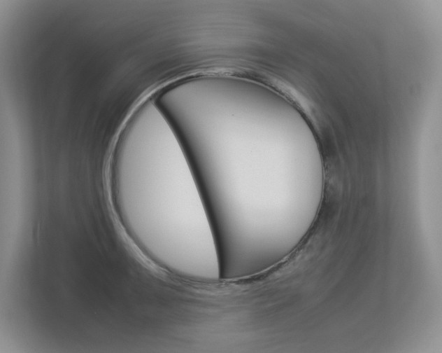 X0000112951091200908241022