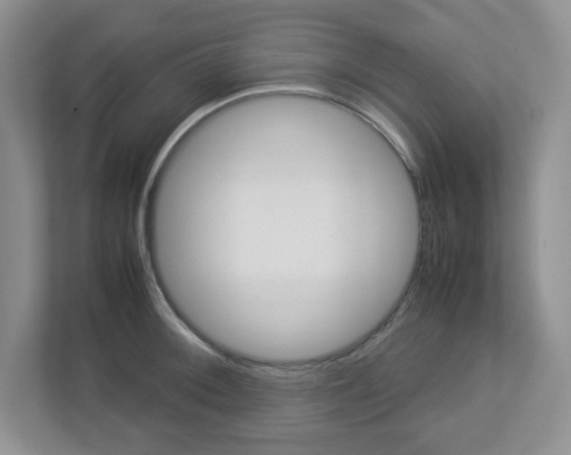 X0000112951092200908241022