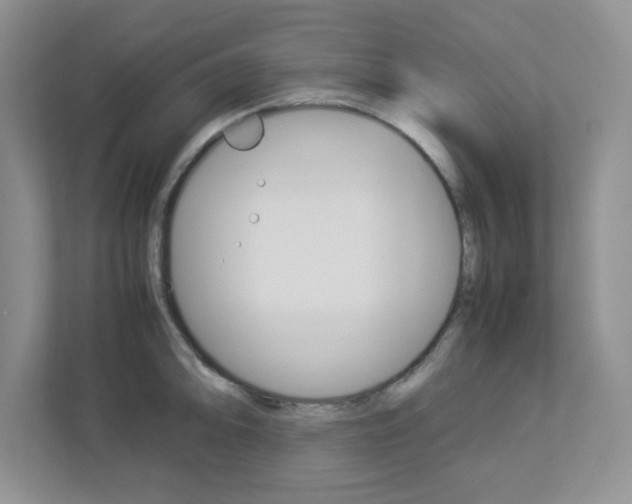 X0000112951094200908241022