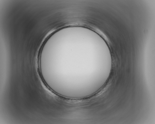 X0000112951095200908241022