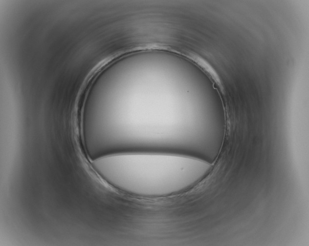 X0000112951096200908241022