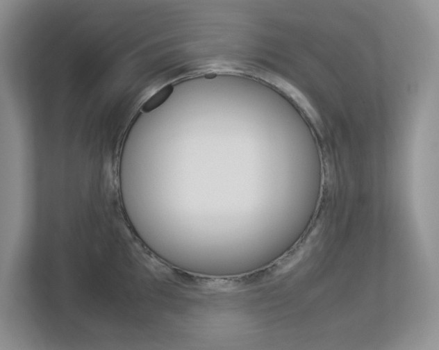 X0000112951097200908241022