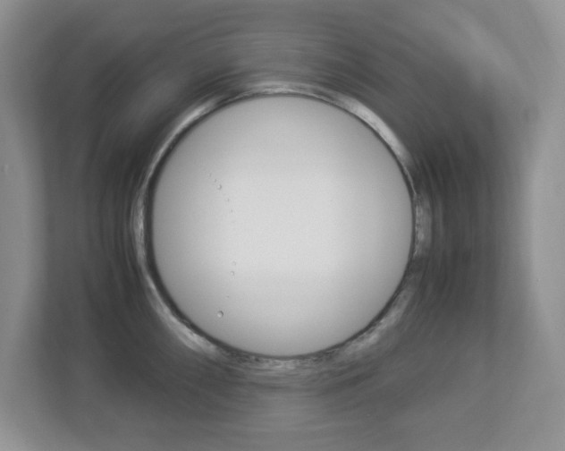 X0000112951098200908241022