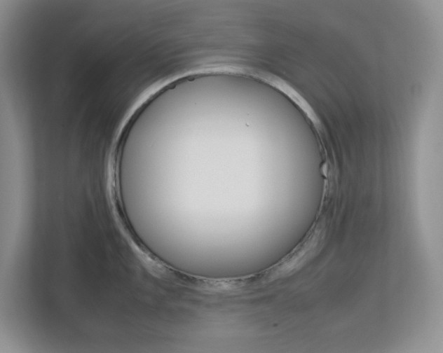 X0000112951101200908241022