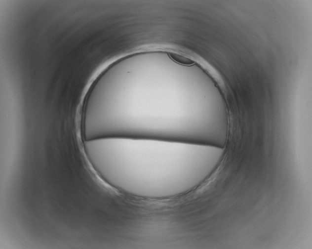 X0000112951102200908241022