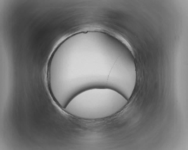X0000112951103200908241022