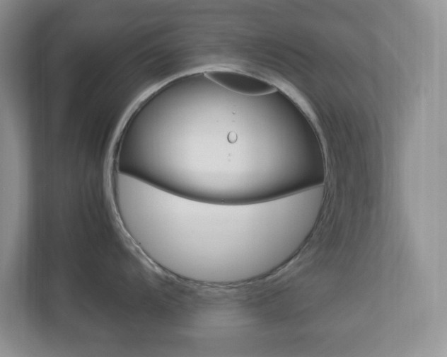 X0000112951104200908241022