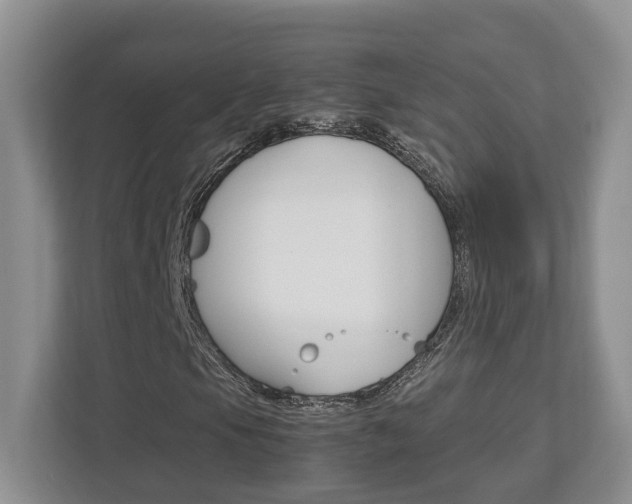 X0000112951105200908241021