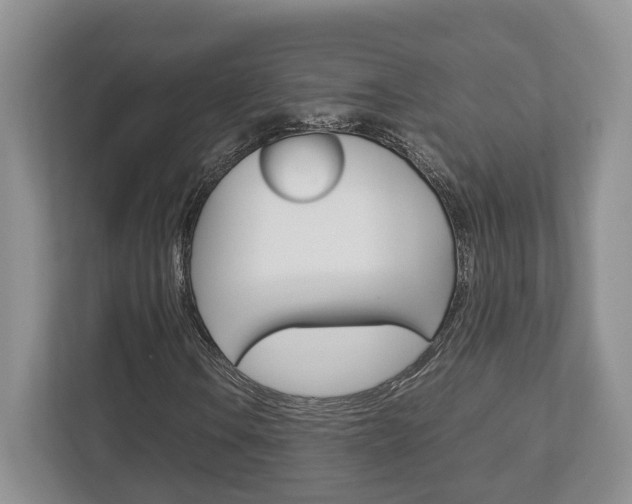 X0000112951106200908241021