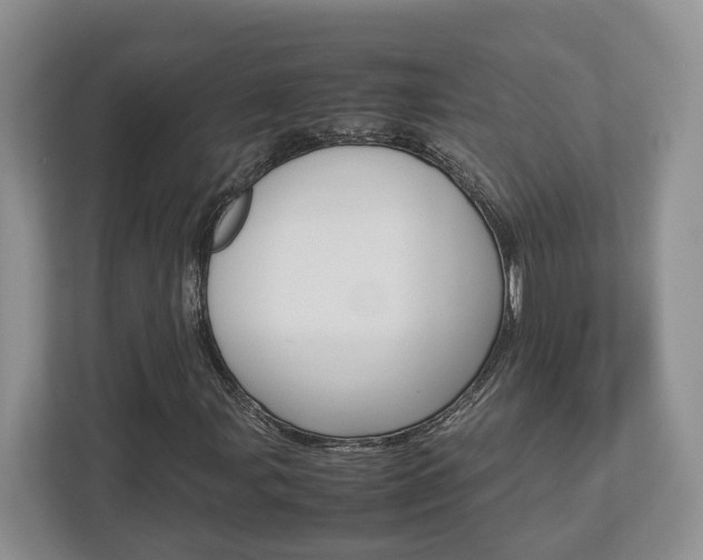 X0000112951107200908241021