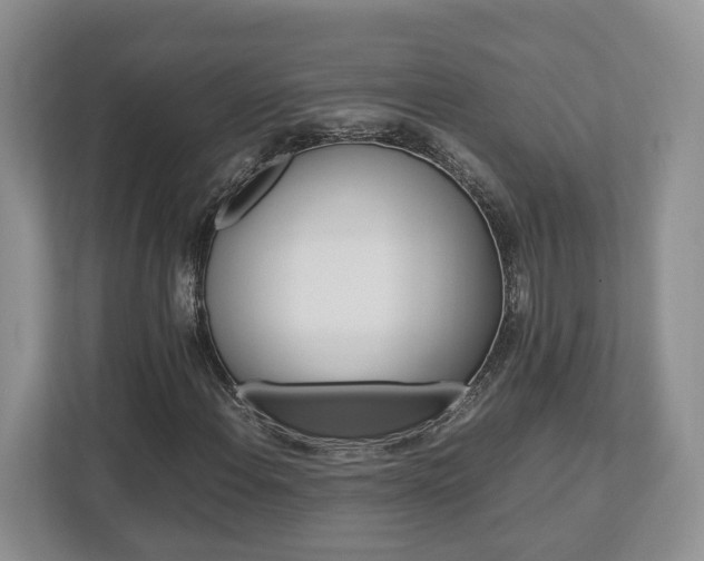 X0000112951108200908241021