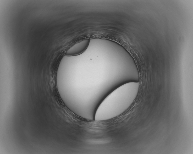 X0000112951109200908241021