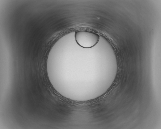 X0000112951110200908241021
