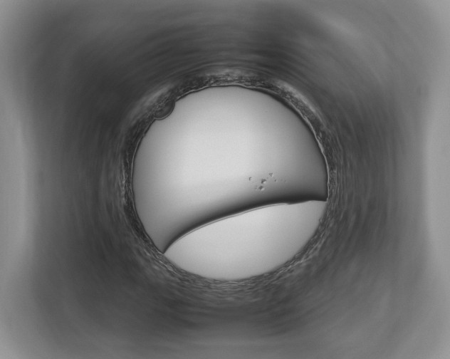 X0000112951111200908241021