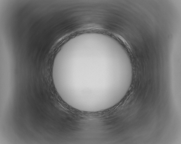 X0000112951112200908241021