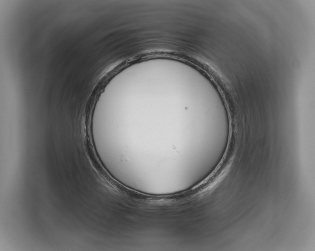 X0000112951113200908241021