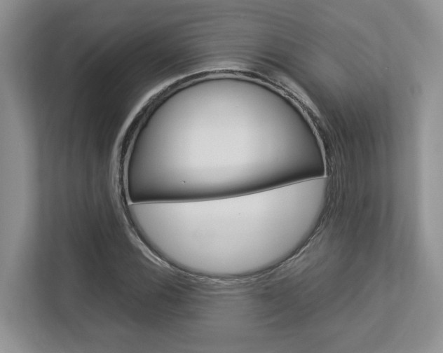 X0000112951116200908241021