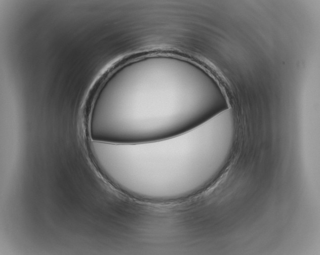 X0000112951118200908241021