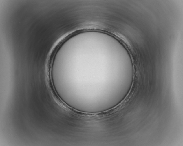 X0000112951120200908241021