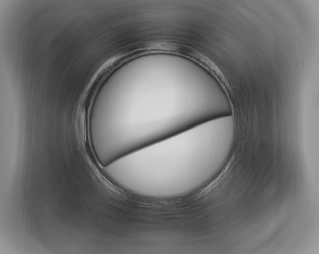 X0000112951123200908241021