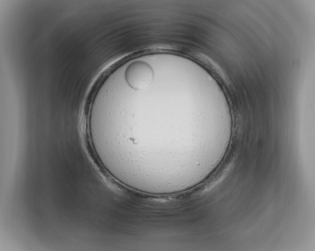 X0000112951125200908241021