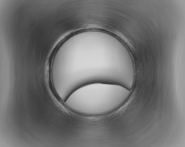 X0000112951126200908241021