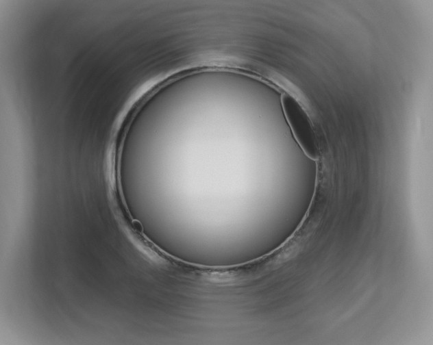 X0000112951128200908241021