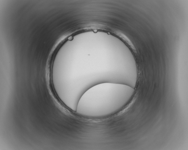 X0000112951130200908241021