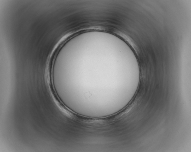 X0000112951131200908241021