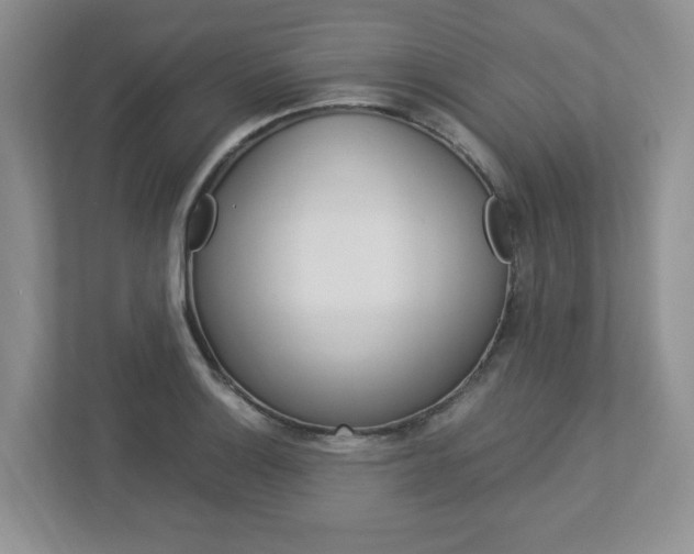 X0000112951132200908241021