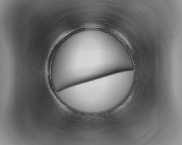 X0000112951133200908241021